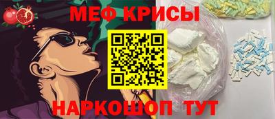 дмт Кингисепп