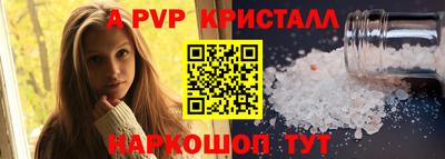 дмт Кингисепп