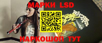 дмт Кингисепп