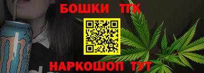 дмт Кингисепп