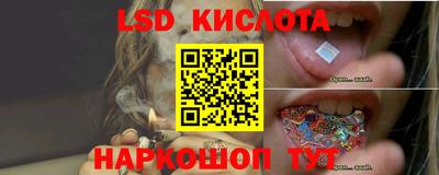 дмт Кингисепп