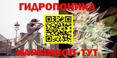 твердый Кимры