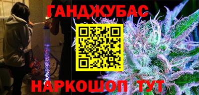 дмт Кингисепп