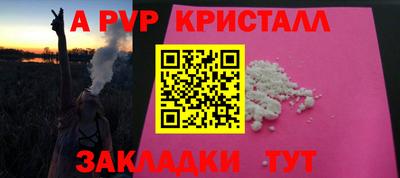 дмт Кингисепп