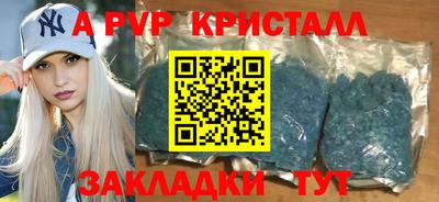дмт Кингисепп