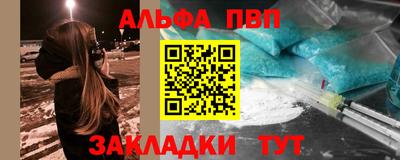 дмт Кингисепп