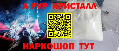 дмт Кингисепп