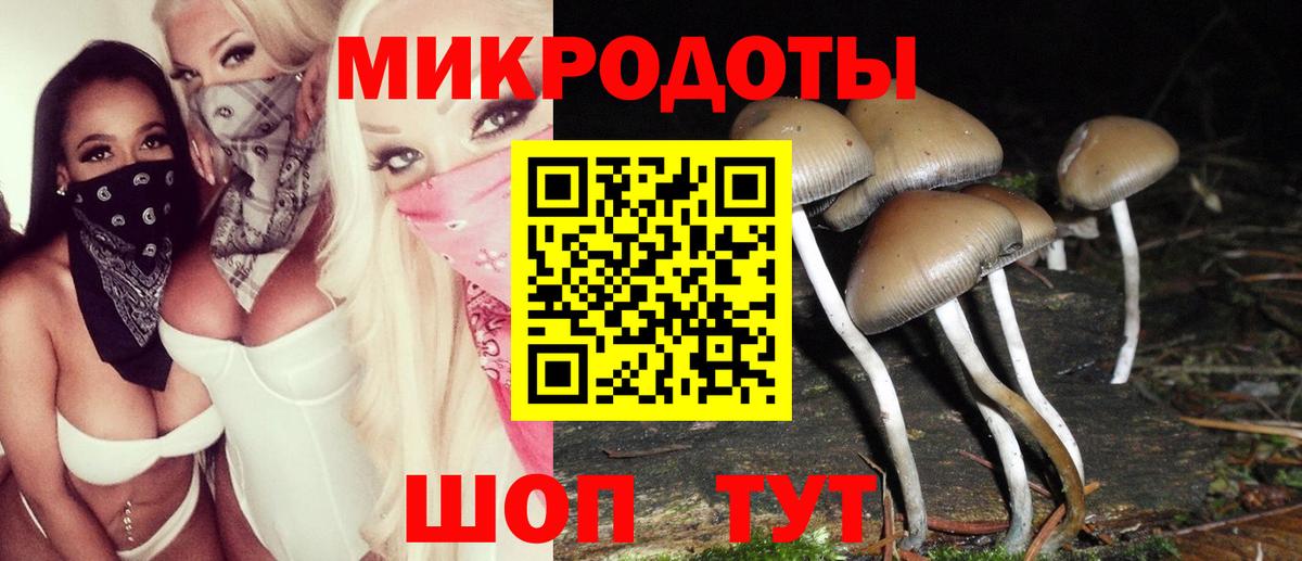 Котовск  Галлюциногенные грибы MAGIC MUSHROOMS  Вход с VPN 